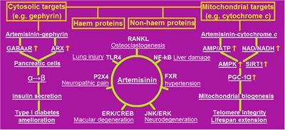 Artemisinin: A Panacea Eligible for Unrestrictive Use?